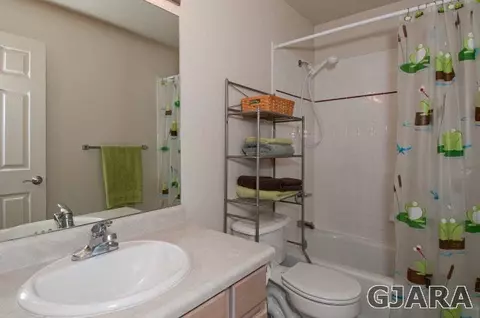 235 Narrow Leaf Dr, Fruita, CO 81521 photo 19