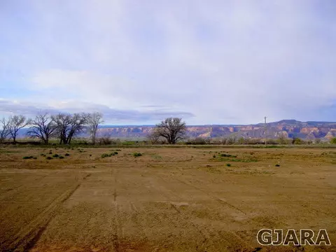 2045 Roma Ave, Fruita, CO 81521 photo 5