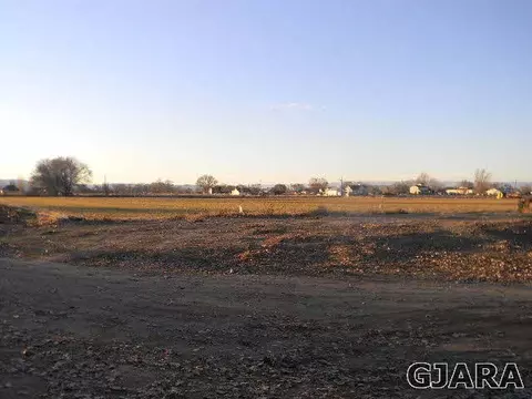 976 20 Rd, Fruita, CO 81521 photo 6
