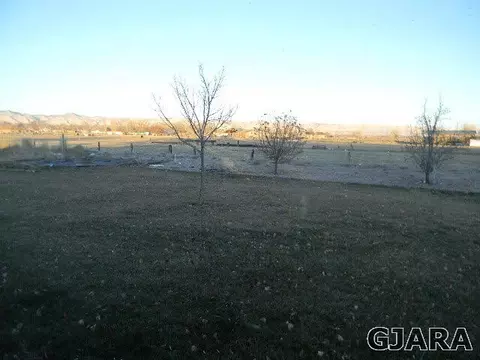 976 20 Rd, Fruita, CO 81521 photo 12