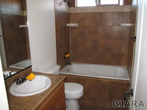 718 Sabil Dr, Fruita, CO 81521 photo 11