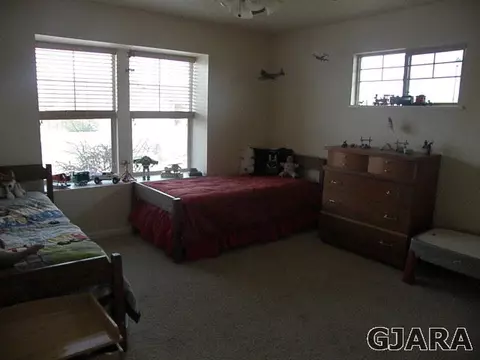 922 Celestite Dr, Fruita, CO 81521 photo 15