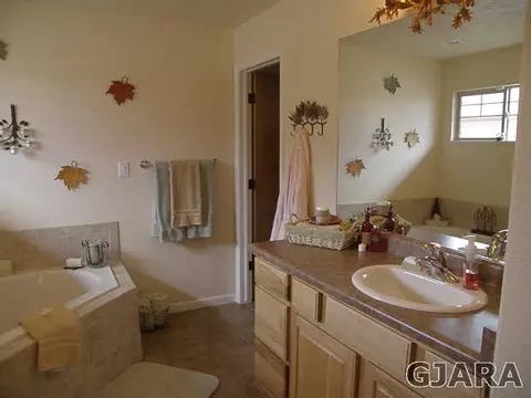 922 Celestite Dr, Fruita, CO 81521 photo 11