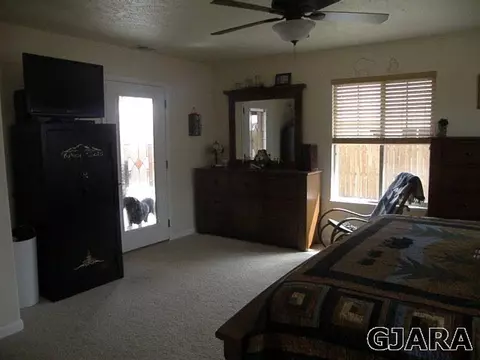 922 Celestite Dr, Fruita, CO 81521 photo 10