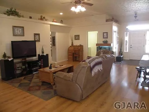922 Celestite Dr, Fruita, CO 81521 photo 3