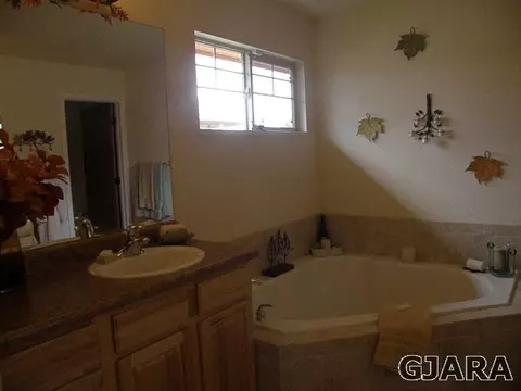 922 Celestite Dr, Fruita, CO 81521 photo 12