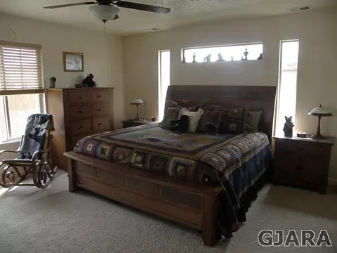 922 Celestite Dr, Fruita, CO 81521 photo 9