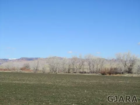 944 T Rd, Mack, CO 81525 photo 3
