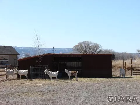 1986 J Rd, Fruita, CO 81521 photo 26