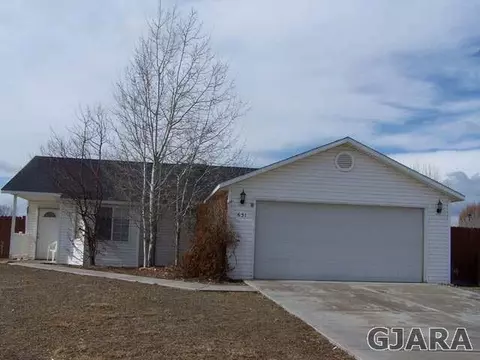631 Scorpio Ct, Fruita, CO 81521 photo 1