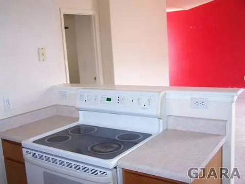 631 Scorpio Ct, Fruita, CO 81521 photo 4
