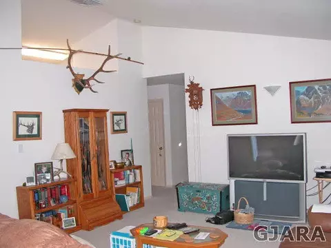606 Clancy Ave, Collbran, CO 81624 photo 4