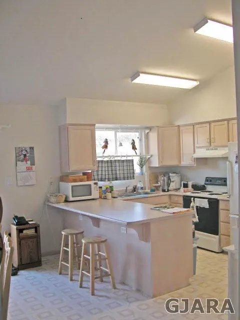 606 Clancy Ave, Collbran, CO 81624 photo 3