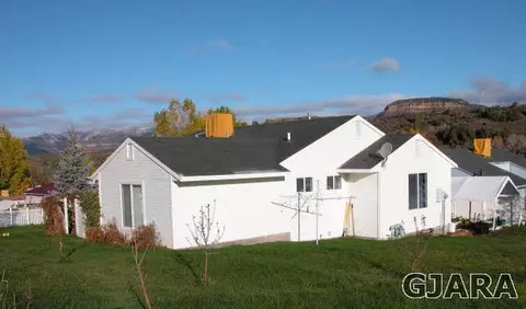 606 Clancy Ave, Collbran, CO 81624 photo 5