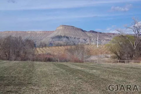 3417 D Rd, Palisade, CO 81526 photo 5