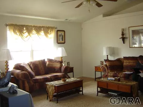 679 Stone Mountain Dr, Fruita, CO 81521 photo 4