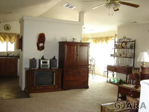679 Stone Mountain Dr, Fruita, CO 81521 photo 9