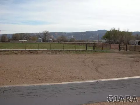 1007 19 12 Rd, Fruita, CO 81521 photo 33
