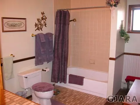 1007 19 12 Rd, Fruita, CO 81521 photo 19