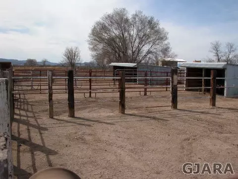 1007 19 12 Rd, Fruita, CO 81521 photo 28