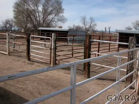 1007 19 12 Rd, Fruita, CO 81521 photo 29