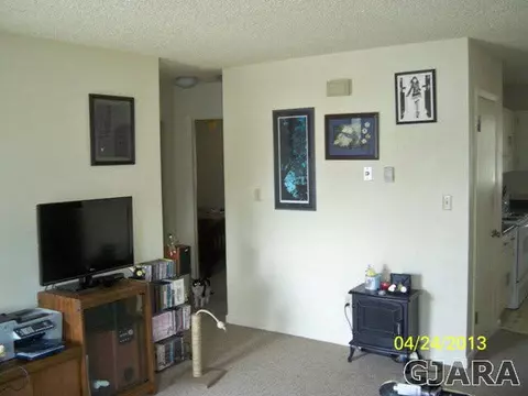 126 E 1st St, Palisade, CO 81526 photo 3