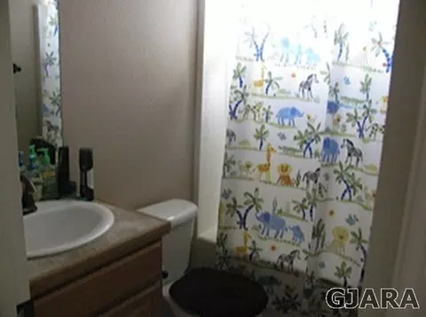 550 Cougar Run, Fruita, CO 81521 photo 11