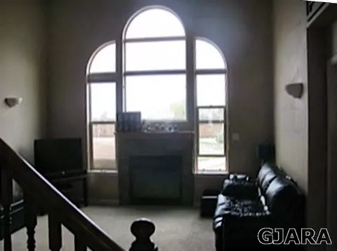 550 Cougar Run, Fruita, CO 81521 photo 10