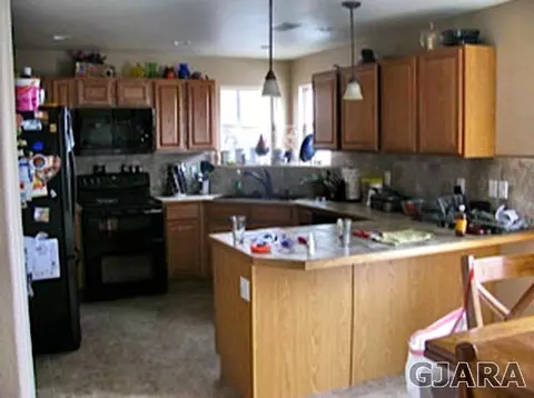 550 Cougar Run, Fruita, CO 81521 photo 4