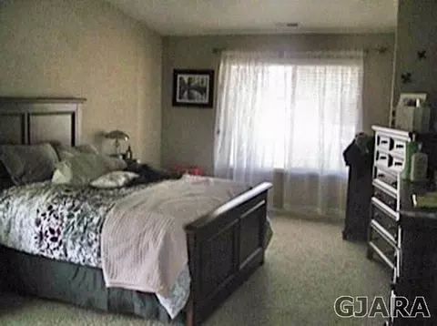 550 Cougar Run, Fruita, CO 81521 photo 14