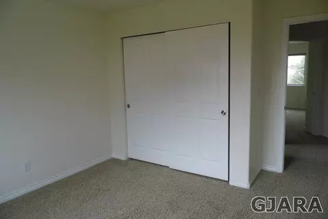 697 Silver Plume Dr, Fruita, CO 81521 photo 12
