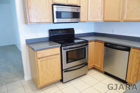 697 Silver Plume Dr, Fruita, CO 81521 photo 10