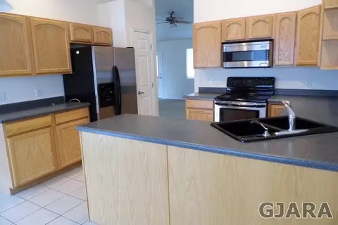 697 Silver Plume Dr, Fruita, CO 81521 photo 8