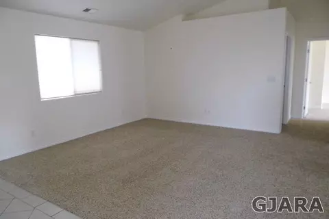 697 Silver Plume Dr, Fruita, CO 81521 photo 5