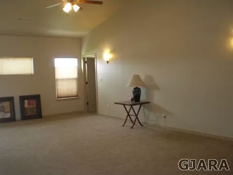 1002 Wingate Dr, Fruita, CO 81521 photo 23