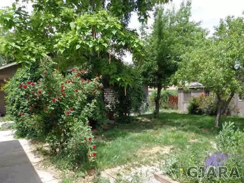 324 N Maple St, Fruita, CO 81521 photo 24