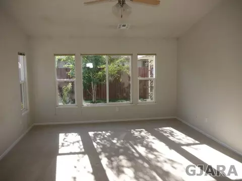 754 Silver Plume Dr, Fruita, CO 81521 photo 8