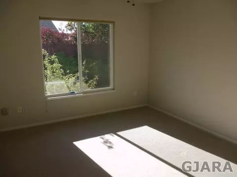 754 Silver Plume Dr, Fruita, CO 81521 photo 10