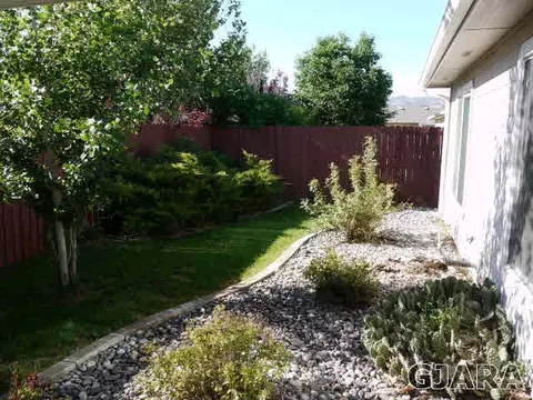 754 Silver Plume Dr, Fruita, CO 81521 photo 17
