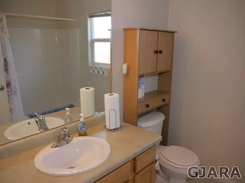 754 Silver Plume Dr, Fruita, CO 81521 photo 12