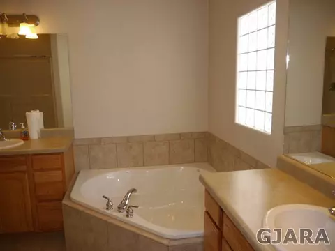 754 Silver Plume Dr, Fruita, CO 81521 photo 9