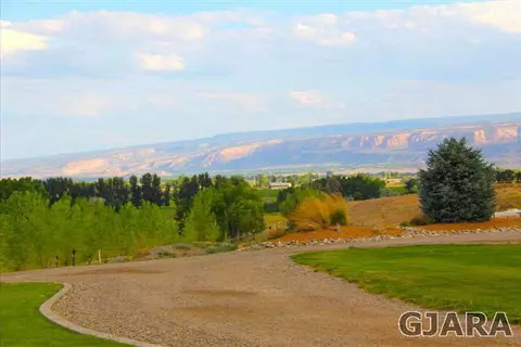 1402 Bridle Path Ct, Fruita, CO 81521 photo 26