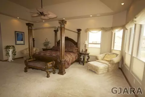 1402 Bridle Path Ct, Fruita, CO 81521 photo 9