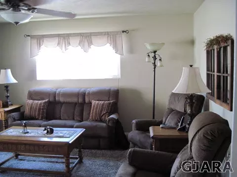 788 Comstock Dr, Fruita, CO 81521 photo 9