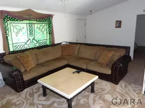 258 Red Cliffs Dr, Fruita, CO 81521 photo 5