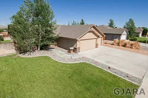 725 Silver Plume Dr, Fruita, CO 81521 photo 4