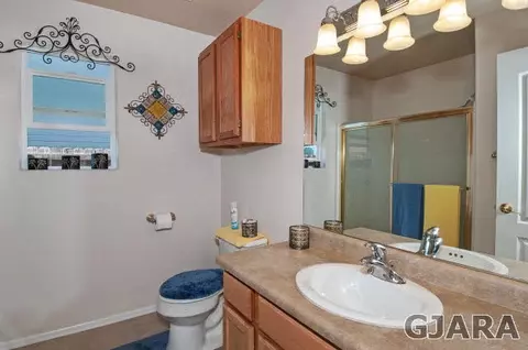725 Silver Plume Dr, Fruita, CO 81521 photo 22