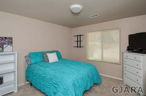 725 Silver Plume Dr, Fruita, CO 81521 photo 21