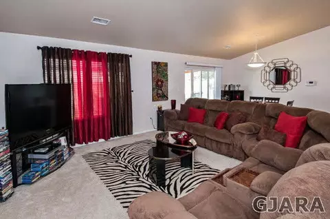 725 Silver Plume Dr, Fruita, CO 81521 photo 6
