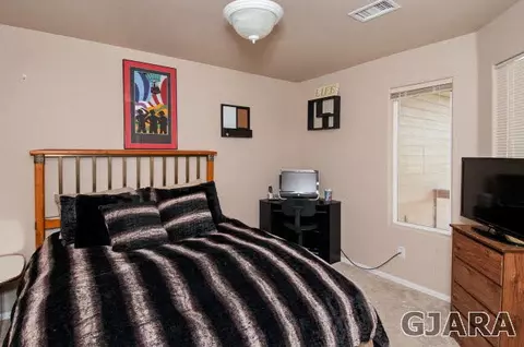 725 Silver Plume Dr, Fruita, CO 81521 photo 19
